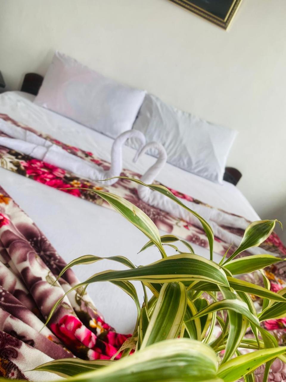 Farah Guest Inn Haputale Zewnętrze zdjęcie